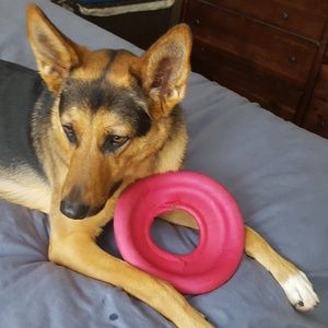 Meet your Posher, Heidi